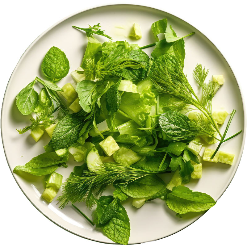 nutritionist img 09295 Dr. Jarod Ward Chiropractic in Florida |